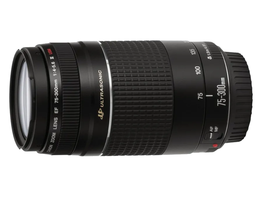 Ремонт объектива Canon EF 75-300 f/4-5.6 III USM в Перми