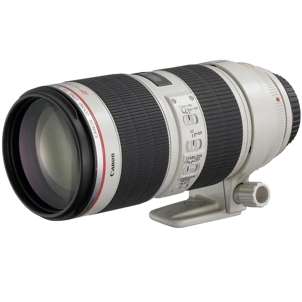 Ремонт EF 70-200 f/2.8L USM в сервисном центре canon-remont-fix