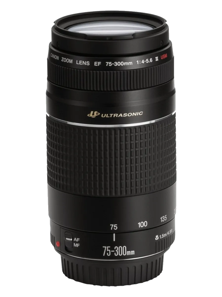 Ремонт EF 75-300 f/4-5.6 III в сервисном центре canon-remont-fix