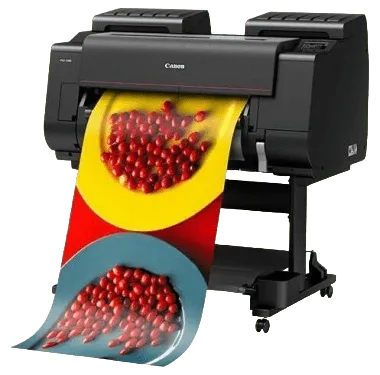 Ремонт imagePROGRAF PRO-2100 в сервисном центре canon-remont-fix